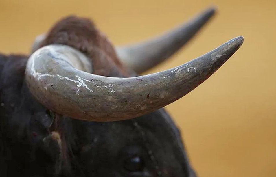 Bik usmrtio 58-godišnjeg muškarca