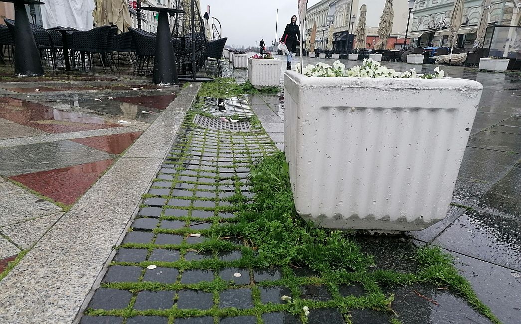  FOTO UBOD - Na najljepšem trgu u Hrvatskoj trava i korov,  otpada fasada s 'Vesne'