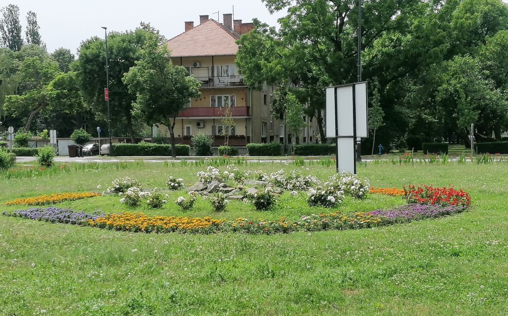  FOTO UBOD: Gdje je (opet) nestala roda?