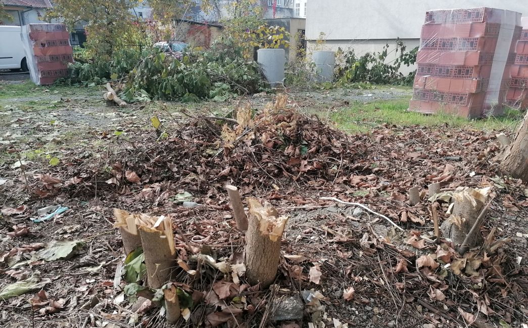 FOTO UBOD - Ružni prizori kakvi Slavonskom Brodu ne trebaju