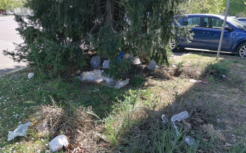 FOTO UBOD: Smeće pod stablo, a koš za otpatke koji korak dalje