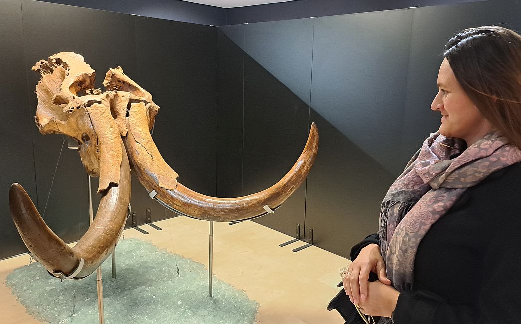  NOĆ MUZEJA 2026.  Povijesne priče koje oživljavaju uspomene