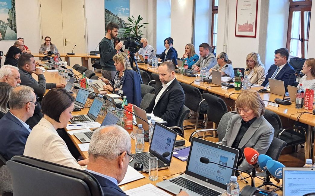 Gradski vijećnici  o klizištu na Brlićevu putu, borbi protiv komaraca...