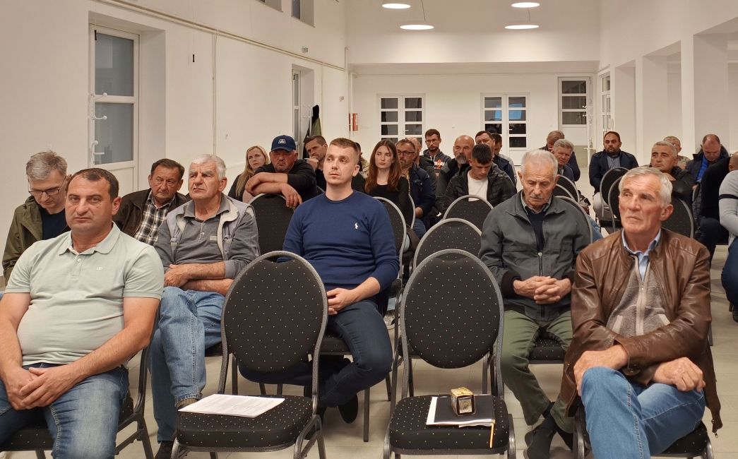  Osnovan Hrvatski savez udruga uzgajivača lipicanaca