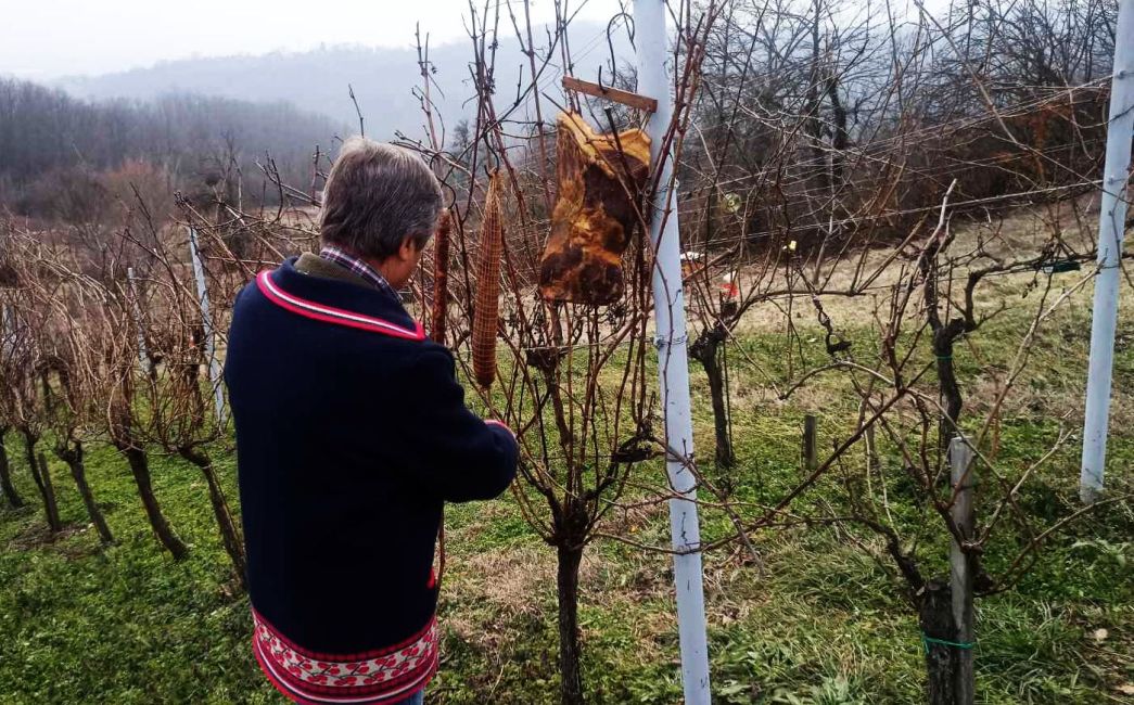  Na Gašinoj lozi 'izrasli' kulin i slanina, bit će rodna vinska godina