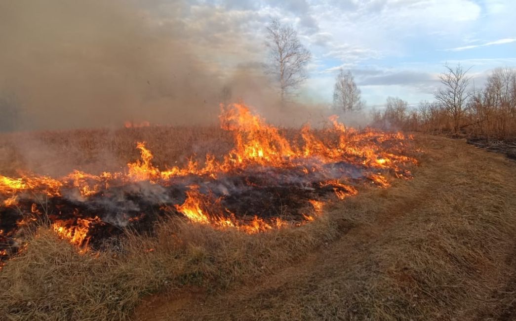 Vatra izmakla kontroli, gorjelo u općinama Podcrkavlje i Gornja Vrba