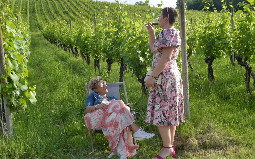  4. Zalazak u vinogradu u Brodskom Stupniku uz jazz Lela Kaplowitz quinteta