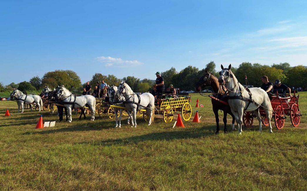  U Slavonskom Kobašu održana folklorno sportska manifestacija „Razigrani lipicanci“