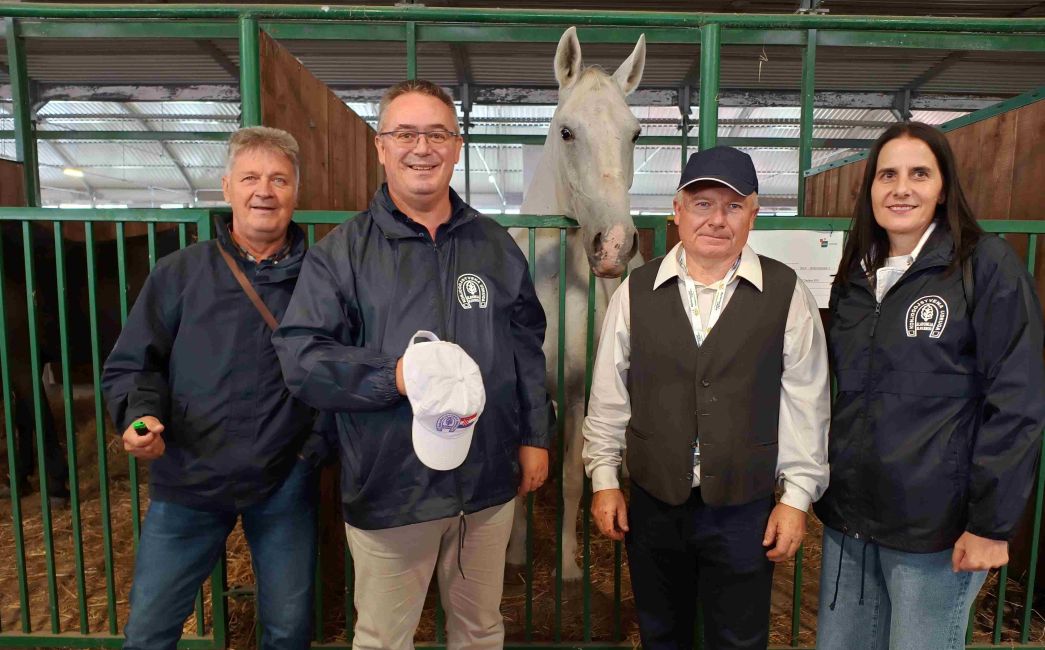 Veliki uspjeh uzgajivača Konjogojstvene udruge Slavonija u Bjelovaru